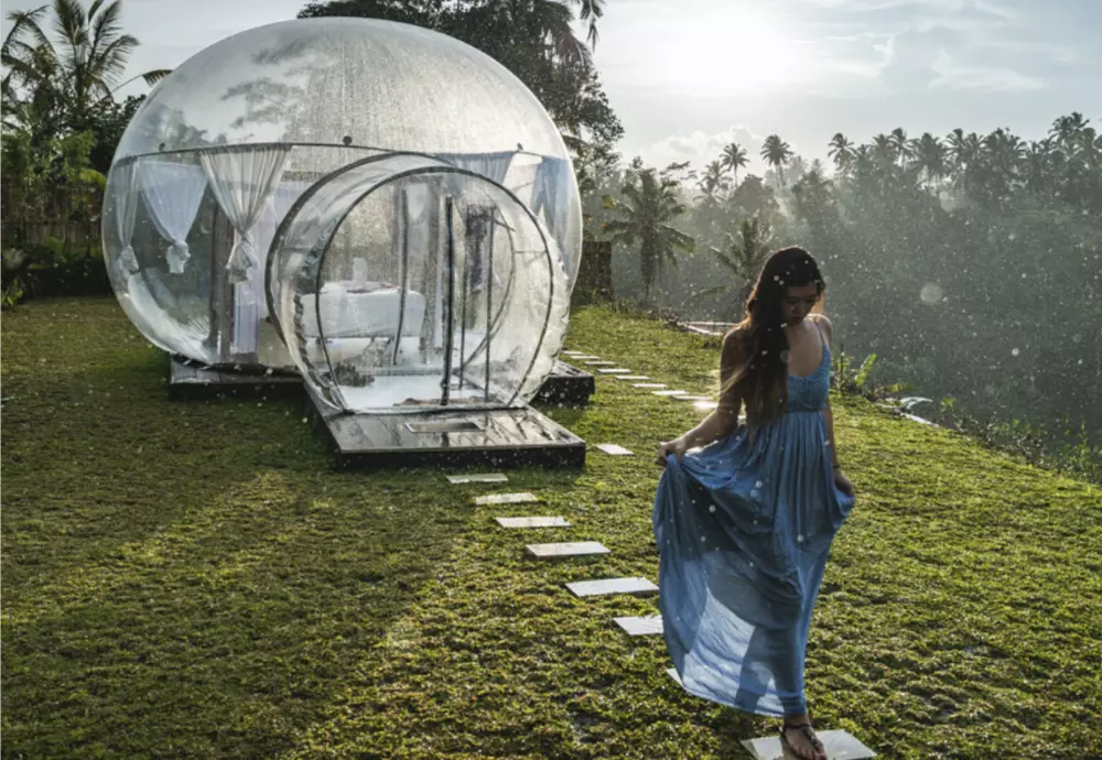 where to buy transparent bubble tent